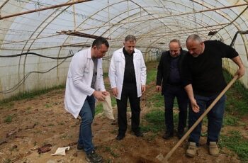 Büyükşehir'den örtü altı üreticiye destek