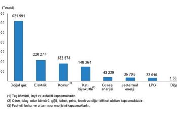 TÜİK: Hanehalkı Nihai Enerji Tüketim İstatistikleri, 2022