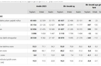 TÜİK: Mevsim etkisinden arındırılmış işsizlik oranı %8,8 seviyesinde gerçekleşti