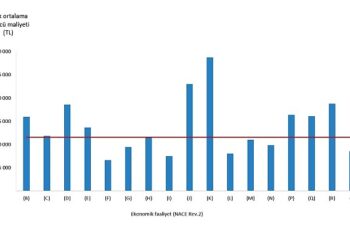 Tüik: Aylık ortalama işgücü maliyeti 11 602 TL oldu