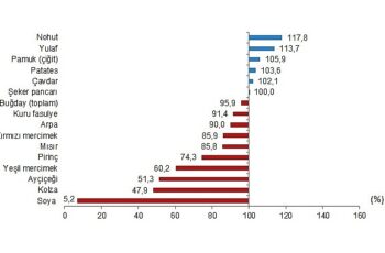 Tüik: Bitkisel ürünlerde en yüksek yeterlilik derecesi %683,5 ile fındıkta gerçekleşti