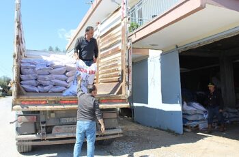 Büyükşehir Belediyesi'nin süt yemi desteği sürüyor