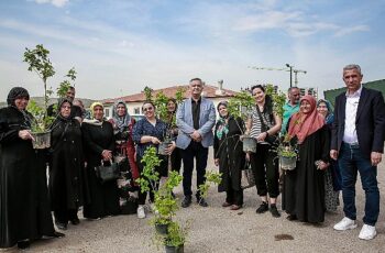 Keçiören Belediyesi tarafından tarımsal üretimi desteklemek için 205 Bin Fide Çiftçilere Dağıtıldı