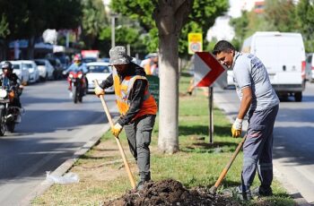 Antalya'da 2 milyon yazlık  çiçek toprakla buluşuyor