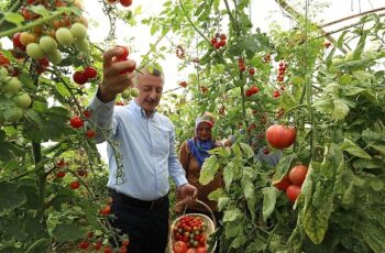 Başkan Büyükakın'dan kadın üreticiye tam destek