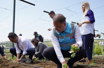 Beylikdüzü Belediyesi tarafından hayata geçirilen ve kent tarımına büyük katkı sunan Yaşam Bahçesi'nde yaz mevsiminin ilk fideleri dikildi