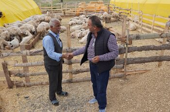 Keçiören Belediyesi tarafından Bağlum Karşıyaka Mahallesi'nde kurulacak kurban satış alanında, kurbanlık satışı yapmak isteyen esnaf için başvurular başladı