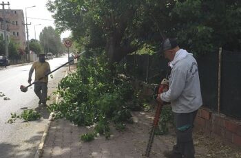 Kemer Belediyesi'nden yeşil alanlarda bakım çalışmaları