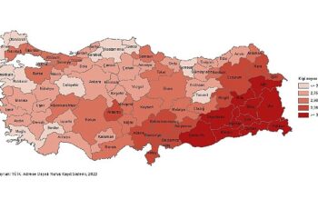 Tüik: Ortalama hanehalkı büyüklüğü 3,14 oldu