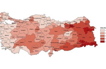 Tüik: Türkiye nüfusunun %15,1'ini genç nüfus oluşturdu