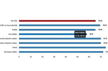 Tüik: Yurt Dışı Üretici Fiyat Endeksi (YD-ÜFE) yıllık %65,53 arttı, aylık %1,37 arttı