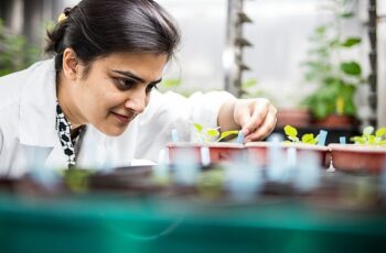 &apos;Uluslararası Bilim Ortaklıkları Fonu'ndan yeni araştırma iş birlikleri için 80 bin Sterlin destek