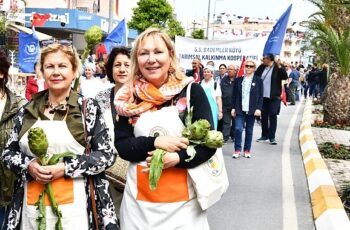 Urla Enginar Festivali için geri sayım başladı