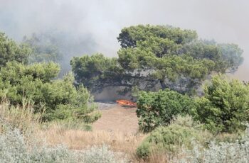 Antalya Büyükşehir İtfaiyesi alevlerle mücadele ediyor