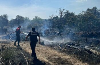 Aydın Büyükşehir Belediyesi İtfaiyesi, bugün öğle saatlerinde Efeler'in Umurlu Mahallesi'nde çıkan arazi yangınına kısa sürede müdahale ederek bir facianın önüne geçti