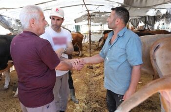 Bayraklı Belediyesi Kurban Bayramı'na hazır