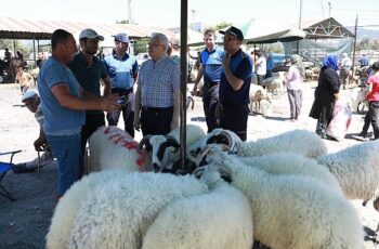 Burhaniye Belediyesi Kurban Bayramı Arifesinde kurban satış ve kesim yerlerini denetledi