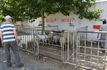 Edremit Belediyesi Kurban Bayramı’na hazır