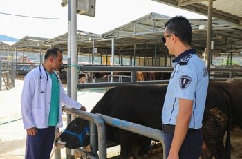 Karşıyaka'nın kurban pazarında hazırlıklar tamam