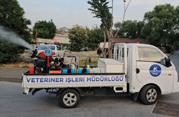 Küçükçekmece Belediyesi, sivrisineklere karşı kapsamlı bir mücadele başlattı