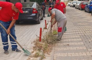 Menderes Belediyesi’nde Yol Temizliği