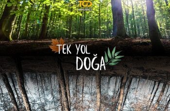 TOD'da Haziranda Yaz Şenliği Var!