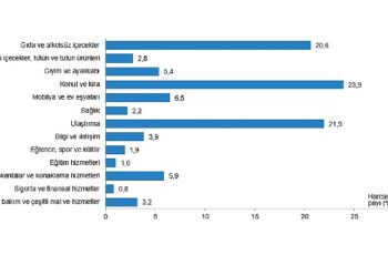 Tüik: Hanehalkı bütçesinden en fazla pay konut ve kira harcamalarına ayrıldı