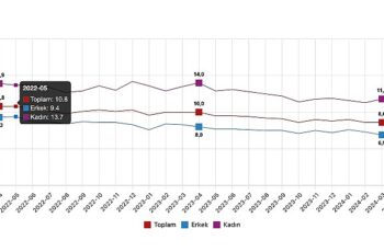 Tüik: Mevsim etkisinden arındırılmış işsizlik oranı %8,5 seviyesinde gerçekleşti