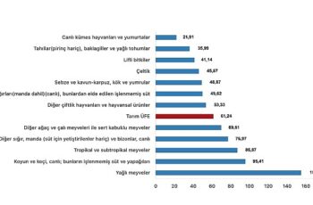 Tüik: Tarım ürünleri üretici fiyat endeksi (Tarım-ÜFE) yıllık %61,24 arttı, aylık %0,91 azaldı