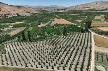 Antalya Büyükşehir Belediyesi GES ile Sülekler Mahallesi’nin kaderini değiştirdi