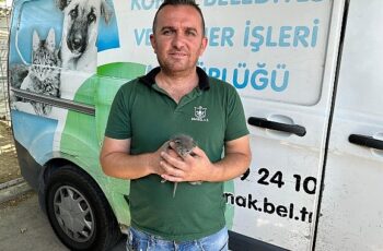 Konak’ta çöpten ‘Umut’ doğdu