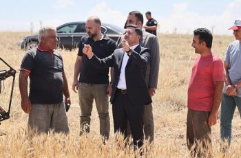 Nevşehir Belediyesi, mülkiyeti kendisine ait olan arazilerden ilk buğday hasadını gerçekleştirdi