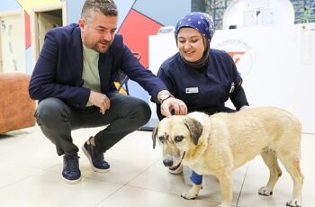 Saldırıya uğrayan can dostuna Buca Belediye Başkanı Duman’dan ziyaret