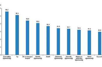 Tüik: Lisans mezunlarında kayıtlı istihdam oranı 2023 yılında %75,6 olarak gerçekleşti