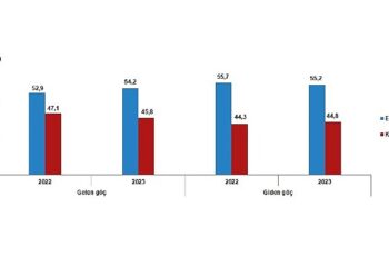 Tüik: Yurt dışından Türkiye’ye 316 bin 456 kişi göç etti