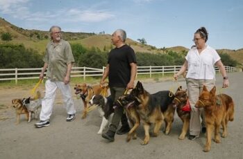 ‘Cesar Millan: İyi İnsan, İyi Köpek’ 12 Ağustos Pazartesi 20.00’de National Geographic WILD Ekranlarında!