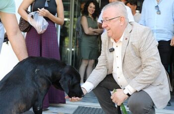 Edremit Belediye Başkanı Mehmet Ertaş sokak köpeğini sahiplendi