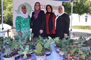 Hem tohumlar hem kadınlar güçleniyor