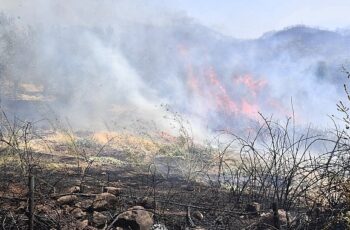 İzmir Yamanlar Dağı’nda çıkan yangınla mücadele sürüyor