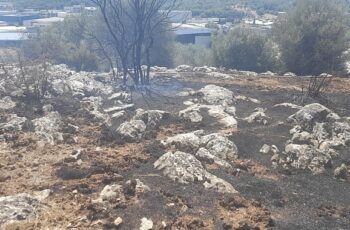 İzmir’de yangın fabrikalara ulaşmadan kontrol altına alındı