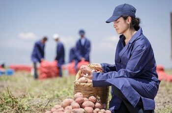 PepsiCo Türkiye’den 16 Ağustos Dünya Patates Gününde Yenileyici Tarımda Büyük Başarı: Patates Üretiminin %89’u Yenileyici Tarım Uygulamalarıyla Gerçekleşiyor