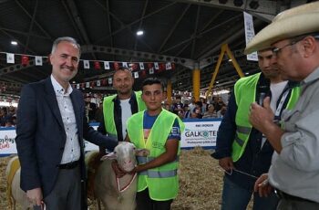 Yerli Tavuk Irkları İle Koçlar İnegöl’de Podyuma Çıkacak