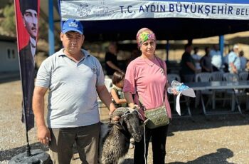 Aydın Büyükşehir Belediyesi Üreticilere Sakız Koçu, Sakız Koyunu, Çine Çaparı ve Honamlı Keçisi Hibe Etmeye Devam Ediyor