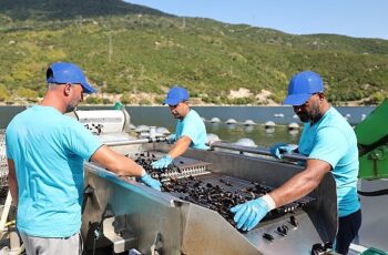 CarrefourSA’dan Mavi Ekonomi ile Sürdürülebilir Deniz Ürünleri Atağı