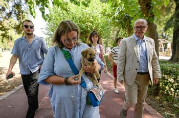 Sahipsiz Köpek Popülasyonu Yönetimi İzmir Eylem Planı hazırlandı