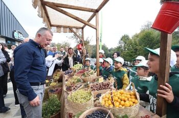 Samanlı Dağlarına 10 Kızıl geyik salındı;  Doğa dostu Büyükşehir ekosistemi koruyor