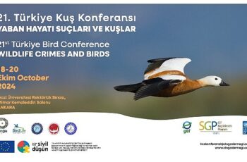 21. Türkiye Kuş Konferansı 18-20 Ekim 2024’te Yaban Hayatı Suçları ve Kuşlar temasıyla Ankara’da.