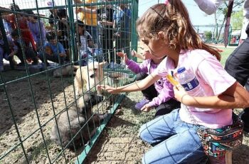 Hayvanları Koruma Gününe Renkli Kutlama