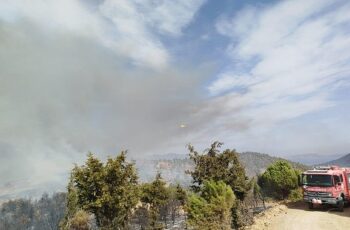 İzmir Büyükşehir Belediyesi ekipleri Foça’daki yangına müdahaleyi sürdürüyor