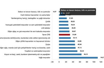 Tüik: Tarım ürünleri üretici fiyat endeksi (Tarım-ÜFE) yıllık %31,09 arttı, aylık %2,00 arttı